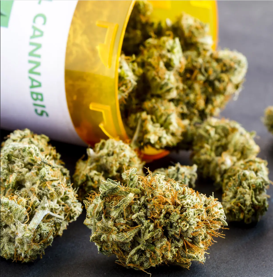 Healthy  Medicine
