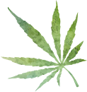 CBD Chocklate